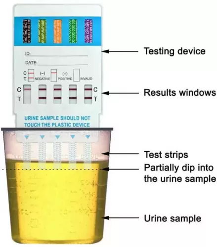 Drug Test Instructions