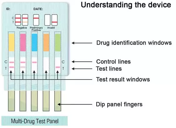 5 panel Drug Screen 