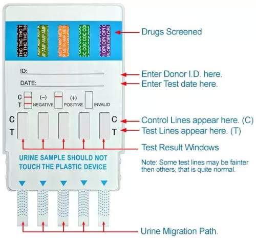 Employer 5-Panel Drug Test Pack