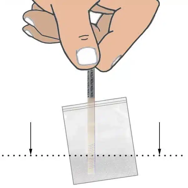 Test Strip to Detect Fentanyl bag