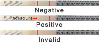 Test Strip to Detect Fentanyl result
